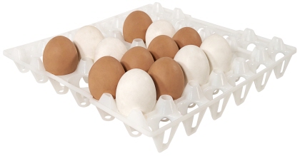 Contacto Tablett für 30 Eier, weiß
