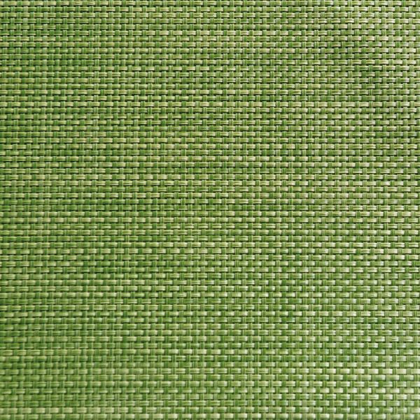 APS Tischset - apfelgrün