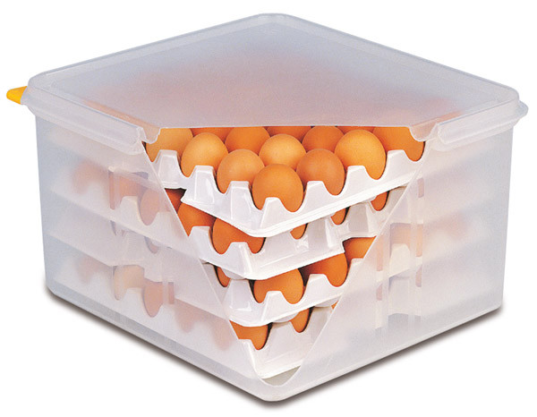 APS 10 Lagen zu Eier-Box